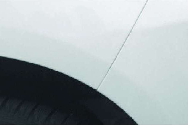 kanibankin_fender