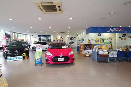 store_12_showroom