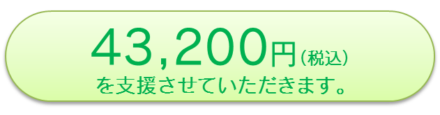 後付けICS