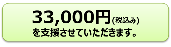 踏み間違い加速抑制システム支援金