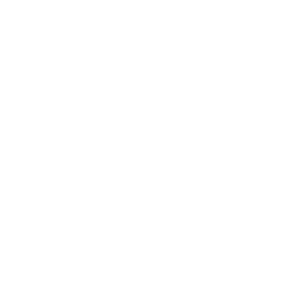 試乗予約