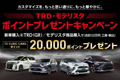 ネッツトヨタ栃木株式会社