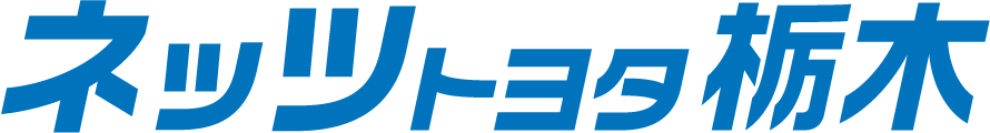 netz_logo