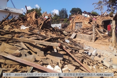 ネパール,大震災,地震