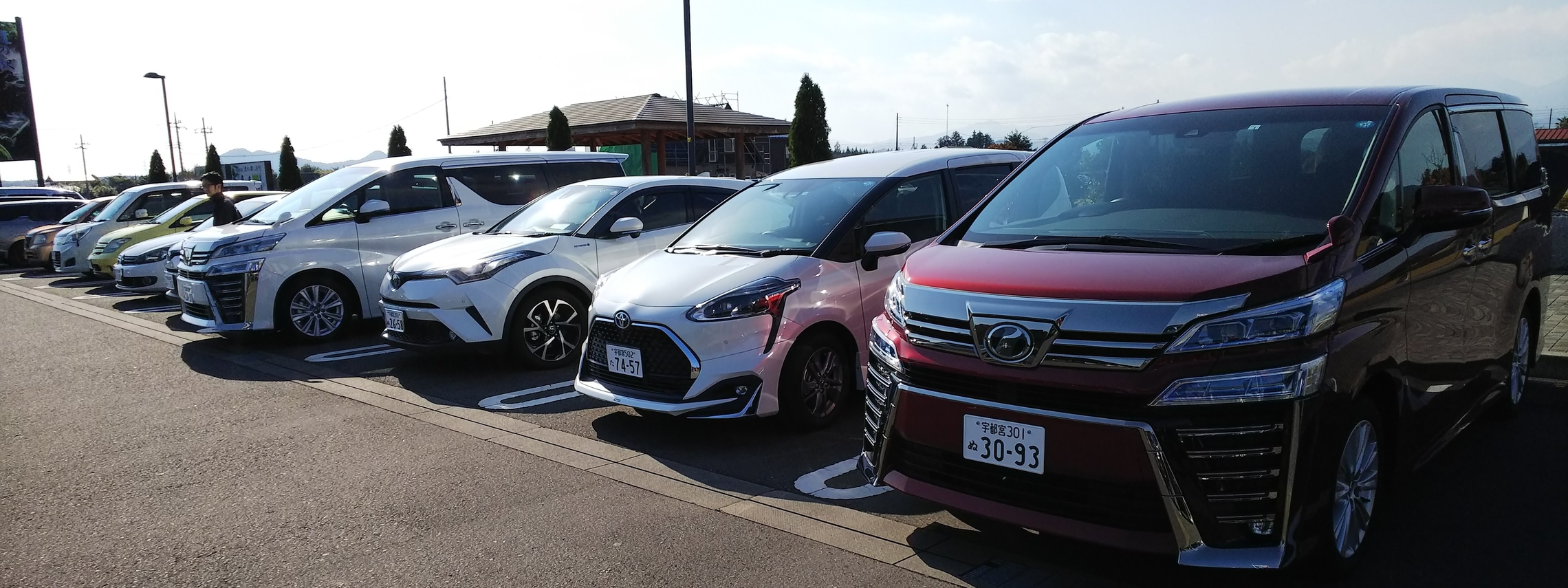 ぷちドラ塩谷